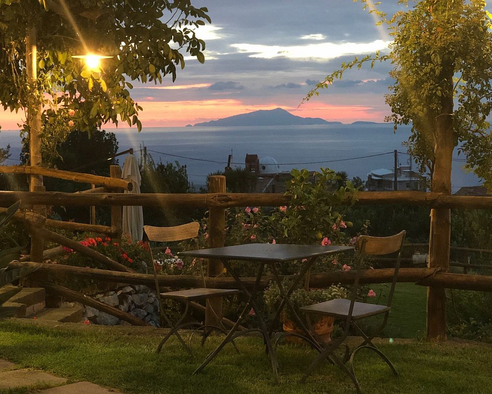 Ristorante Dal Patriarca/ (Montechiaro - Vico Equense)  Panorama incantevole   in un'oasi verde e tranquilla.   Sapori autentici, sani, genuini, piatti cucinati con emozione,.  rispetto, amore, passione ed un pizzico di innovazione.  Atmosfera magica in compagnia del Golfo di Napoli e del Vesuvio.  Sconto del 10 % per gli ospiti delle strutture associate ad Atex  Via della Porta Giovanni Battista, 26,  Montechiaro  ( Vico Equense) Tel. 331 735 6786